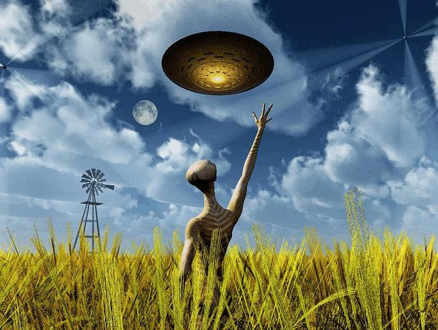 麦田怪圈真实照片（麦田怪圈的科学解释）