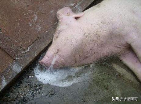 呕吐死（呕吐死亡法院医疗判决书）