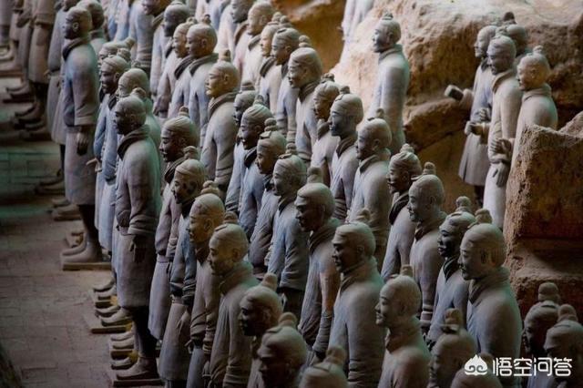 秦始皇兵马俑简介（兵马俑历史简介）