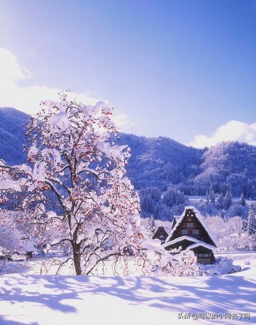 历史典故成语100例（100个历史典故的成语故事意思）