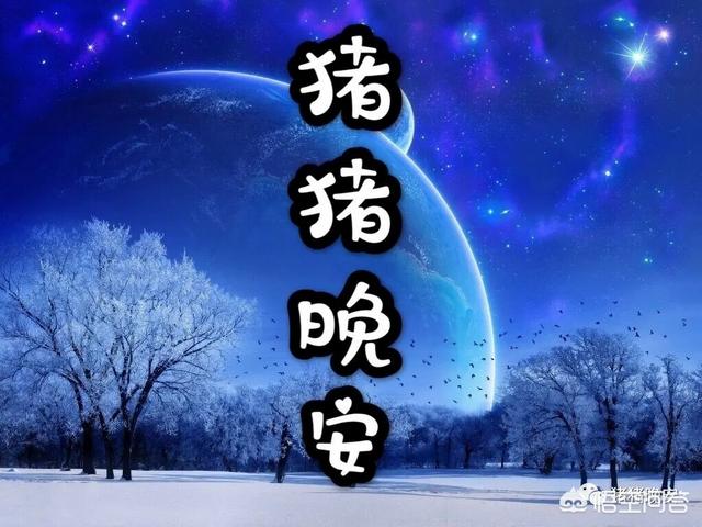 女友睡前故事长篇（女友睡前故事暖心长一点）