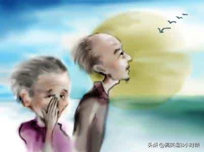 讲笑话大全爆笑免费（讲笑话大全爆笑免费阅读）