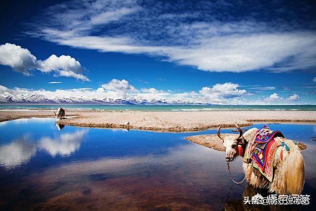 古今名人的事迹（古今名人介绍）
