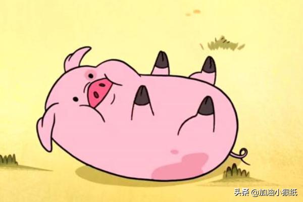 爱情睡前故事长篇（睡前 爱情故事）