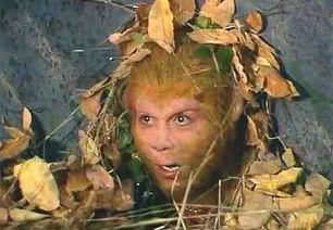 孙悟空的故事100字左右（孙悟空故事100字左右简介）