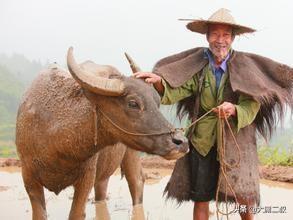 10个教育小故事案例（教育故事案例分享）