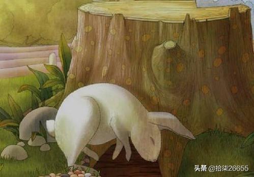 守株待兔故事告诉我们什么道理