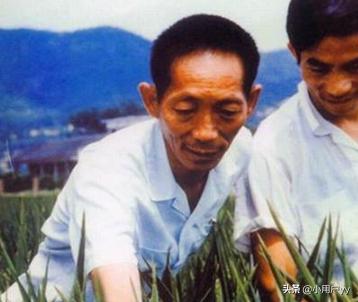 袁隆平的事迹50字左右（袁隆平的事迹100字以内）